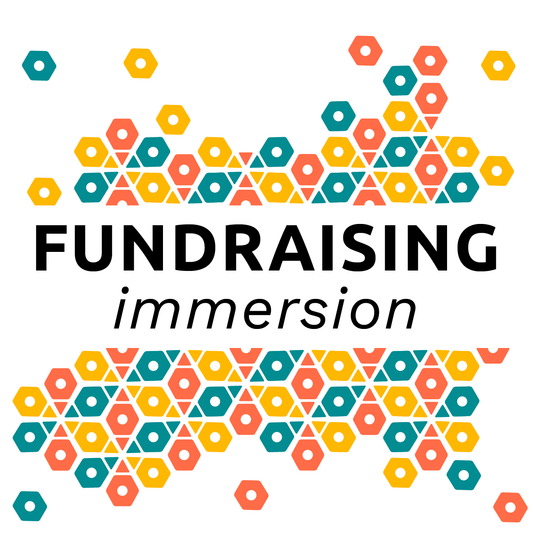 Fundraising Immersion!